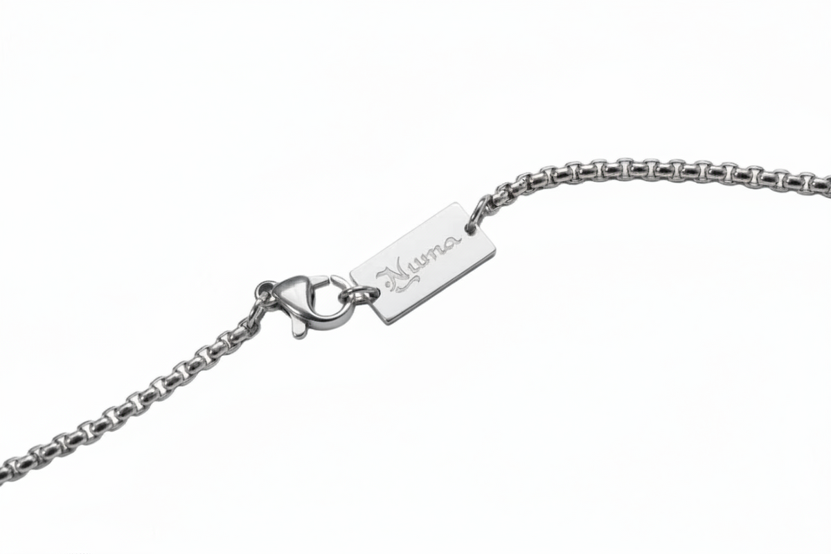 Numa Silver Necklace